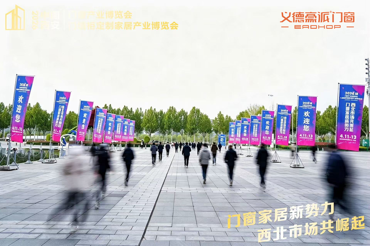 d01.jpg